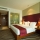 اتاق هتل هالیدی این مومبای اینترکانتیننتال ایرپورت بمبئی